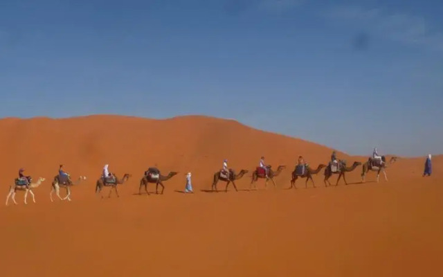 Oasis Camp