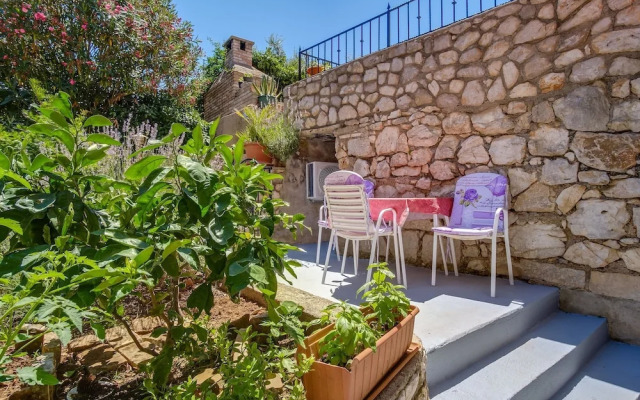 Stipe - Free Barbecue - A3