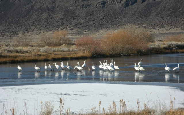 The Lodge at Summer Lake