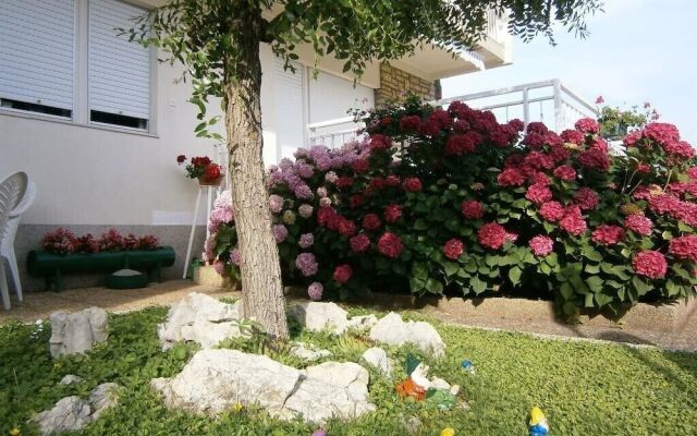 Apartment Duška / Two Bedrooms A2