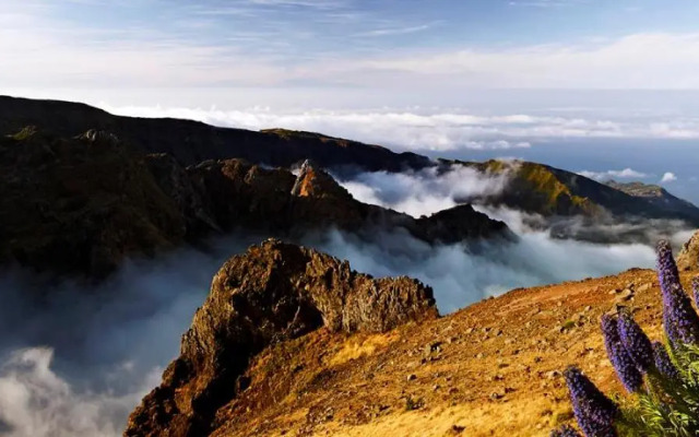 Villa Scirocco Madeira Ocean View