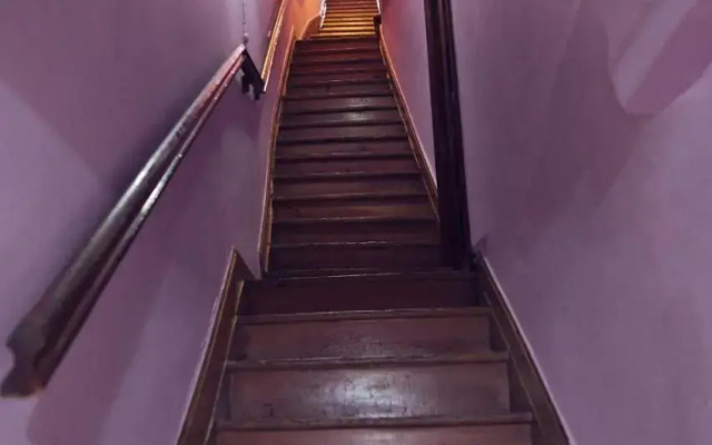 Amumamaria_ vt