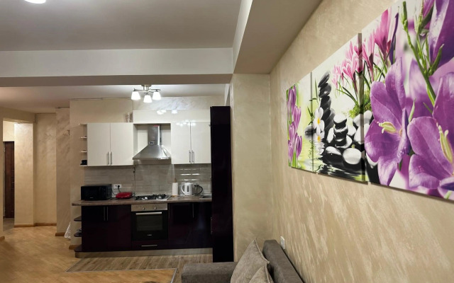 Comfortable apartment in center