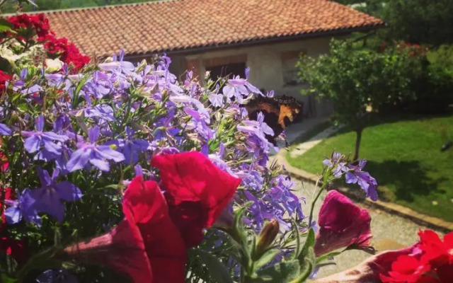 Agriturismo Fruttirossi