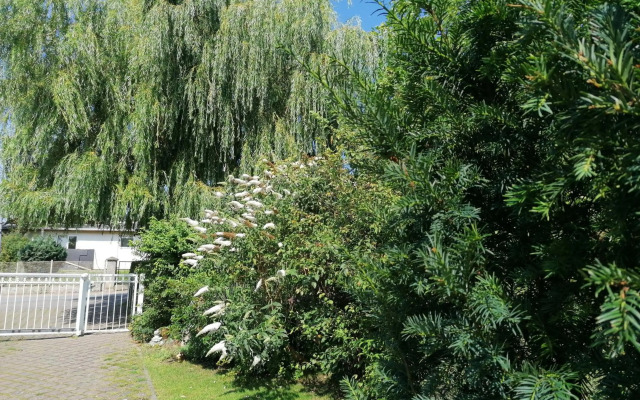 Pension Haus Anneliese