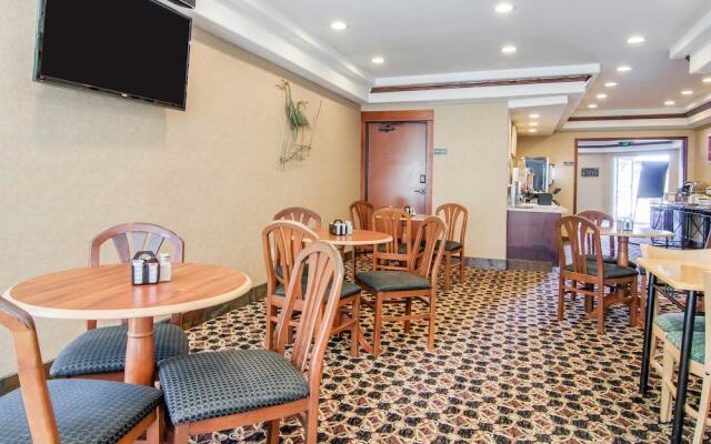 Comfort Inn & Suites