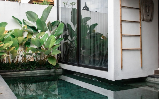 Villa Tropical 2