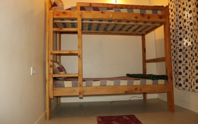 The Paradise In Backpackers