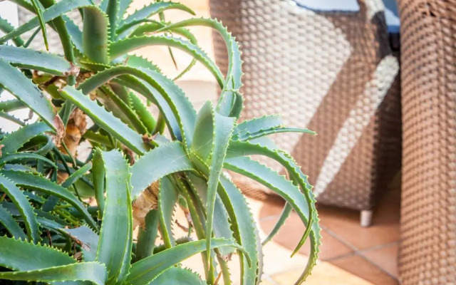 Residence Costazzurra