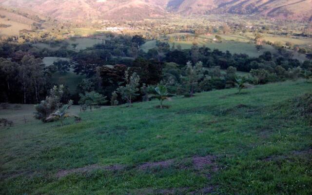 The Crested Crane Bwindi