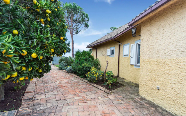 Beautiful Holiday Home in Ardea With Garden