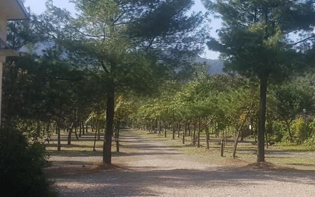 Gapyeong Wooridoori Pension