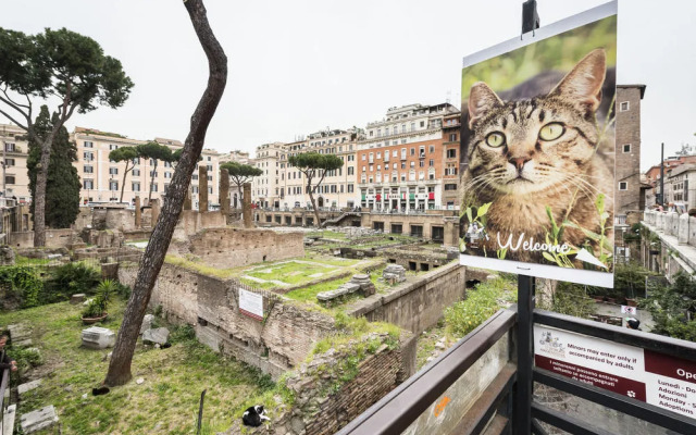 Sweet Inn - Campo de Fiori - Calderari