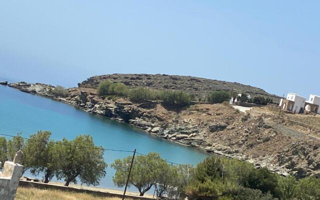 Amnia
