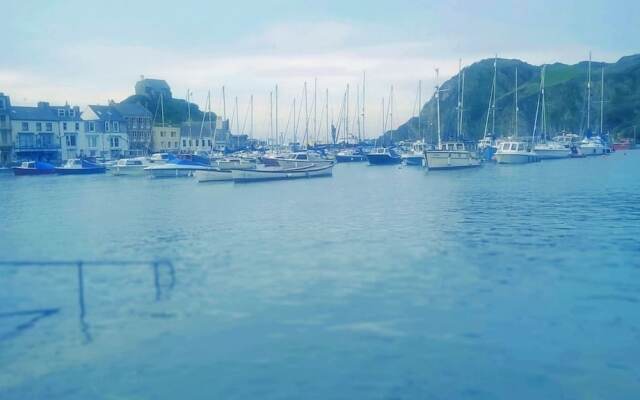 Verity and Ilfracombe Harbour View