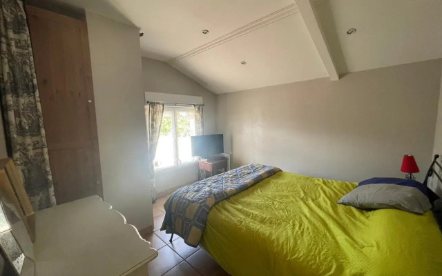 Chardons - Inh 31168