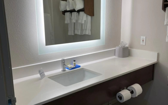 Holiday Inn Express & Suites Indianapolis Northwest by IHG