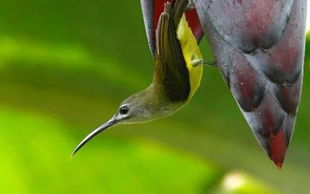 Wild Woods Spa & Resort