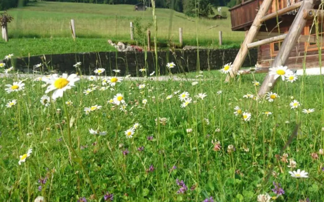 Ferienwohnungen Schneiderhausl