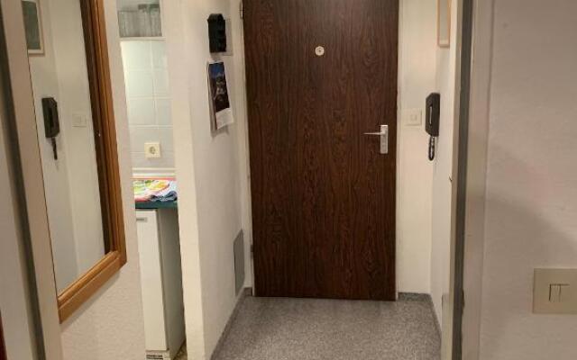 Reichenbach Apartment