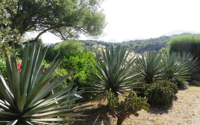 Podere Spartaco San Pantaleo