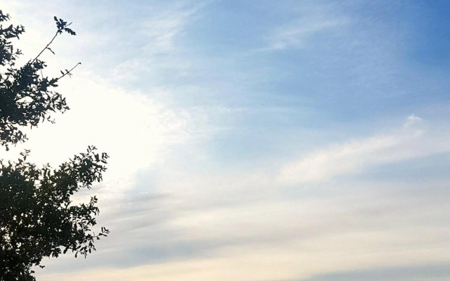 Apartment Jelena Sutvara