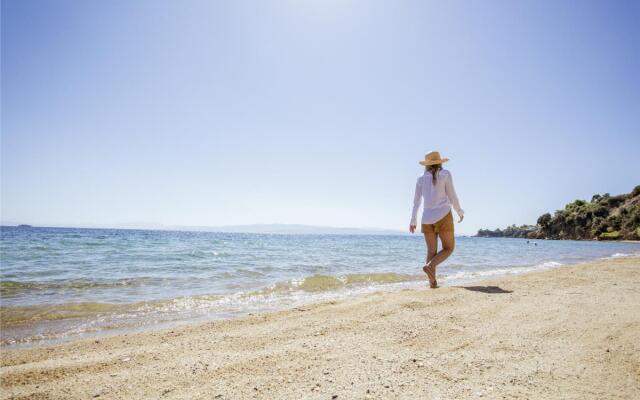 Skiathos Princess Resort