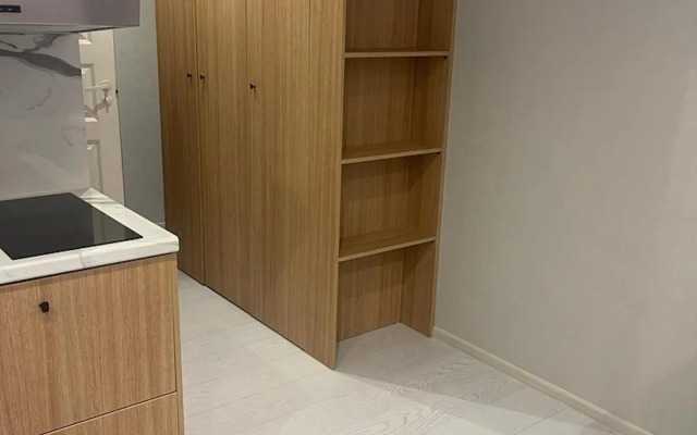 Apartments on 13 Chkalova Street