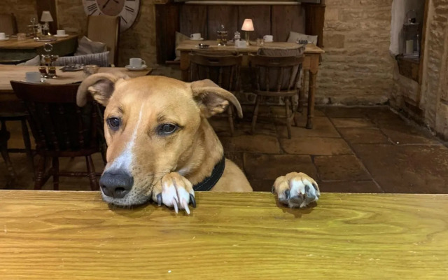 Horse & Groom - Upper Oddington