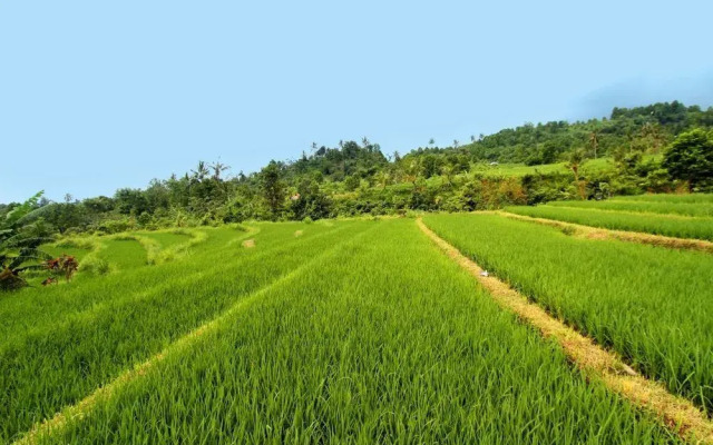The Khana Sambangan