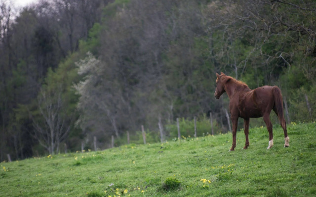Domaine du Revermont