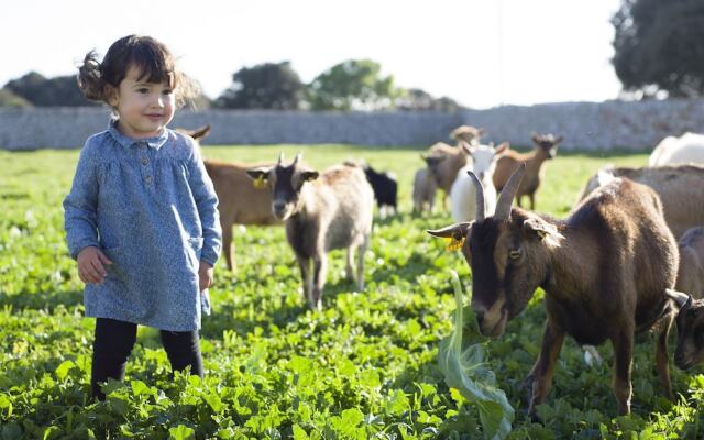 Agroturismo Llucmaçanes Gran