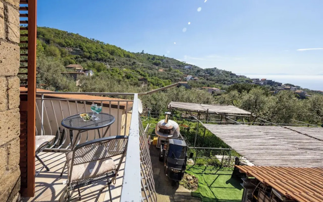Sky Blue Guesthouse