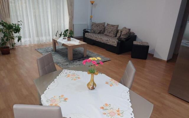 Cosy apartment I