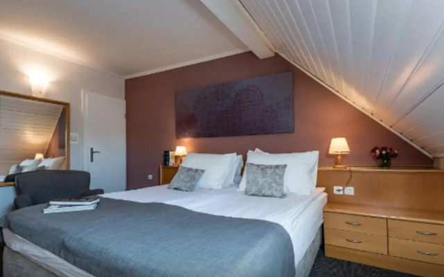 Hotel Mrak 4*