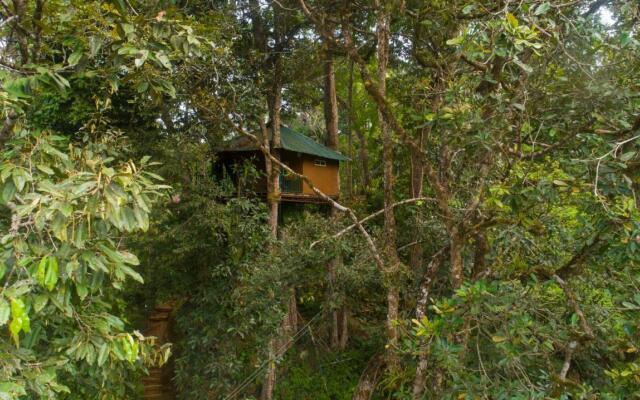 Ela Ecoland Munnar - A Nature Retreat