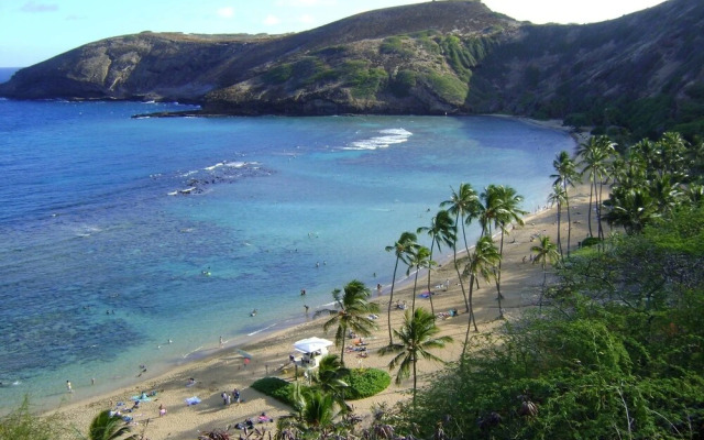 Kuhio Village 410A - 1 Br Condo