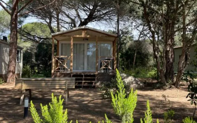 Palombaggia location i pini