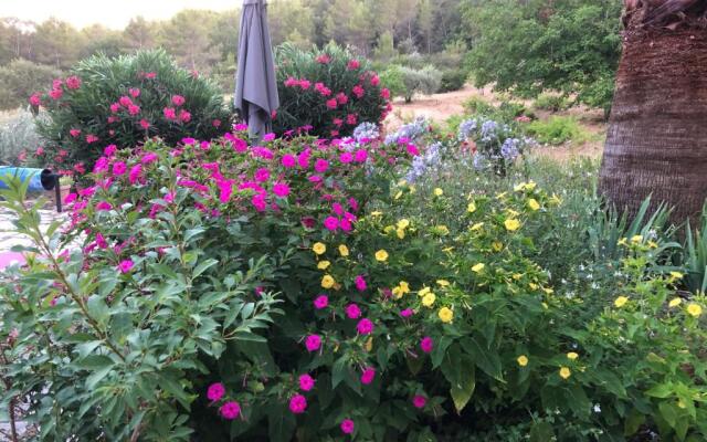 Sejours Varois Les Hesperides