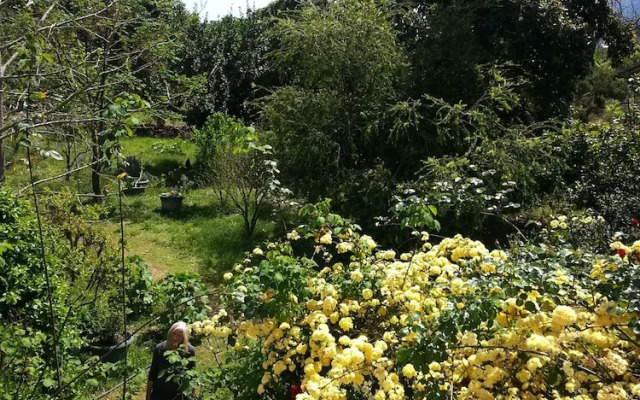 Kairos Bungalows