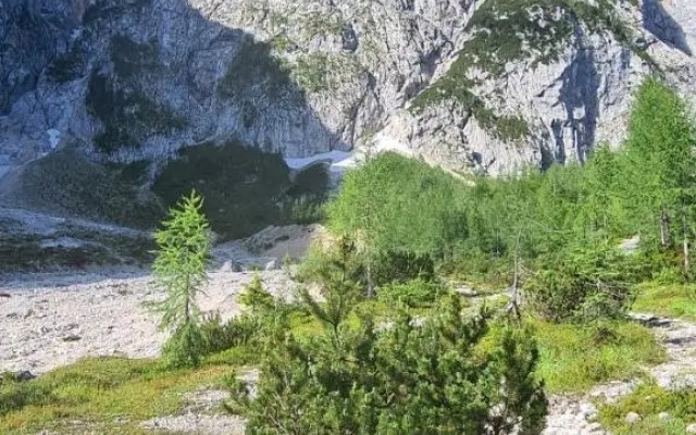 Apartma Vidic