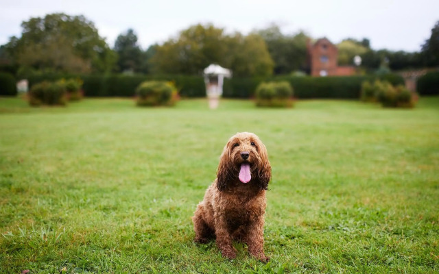 Seckford Hall Hotel & Spa