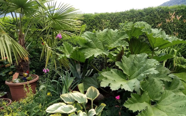 Blumenpension Strauss - Ferienwohnungen