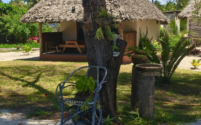 Driftwood Beach Lodge
