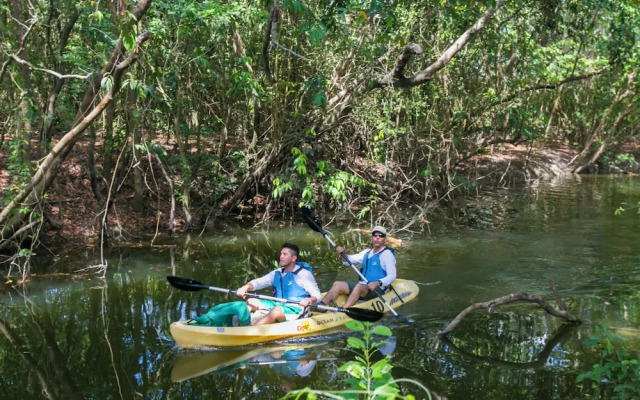 Mayan World Adventures