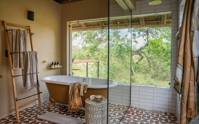 Thornybush Game Lodge