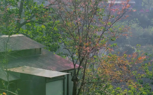 Nắng homestay