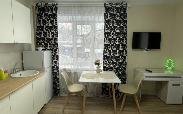 Apartment Svetlana on Ulagasheva street