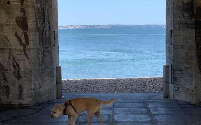 The Wellington Restaurant and Bar