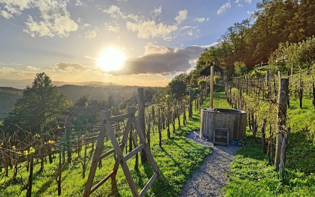 Vineyard cottage Škatlar 3